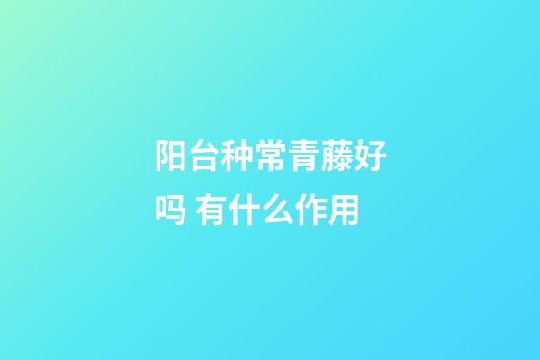 阳台种常青藤好吗 有什么作用